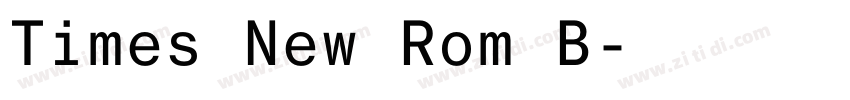Times New Rom B字体转换
